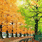 a125484357